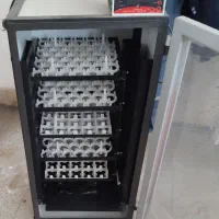 لوازم جانبی حیوانات خانگی