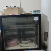 دستگاه جوجه کشی336 تایی ELG