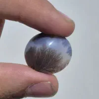 شجر قائن مناسب انگشتر و پلاک و دستبندهای کلکسیونی