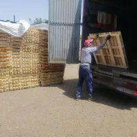 تولید کننده پالت چوبی نو بدون واسطه مستقیم|عمده‌فروشی|تهران, خانی آباد نو شمالی|دیوار