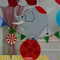 تم تولد سیرک