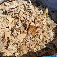 فروش نان خشک تمیز