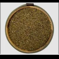 شبدر جهادی