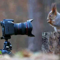 عکاسی خیابانی و آتلیه|خدمات پذیرایی، مراسم|اردبیل, |دیوار