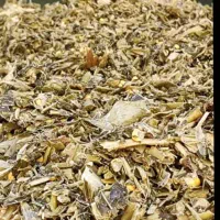 علوفه ذرت تفاله چغندر