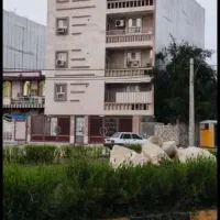 رهن دوخوابه خیابان برق