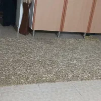 فرش تزئینی جلو تلویزیونی سالم