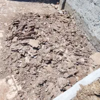 بار گاو|لوازم جانبی حیوانات|زبرخان, |دیوار