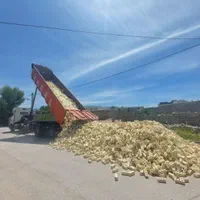 آجر سه گل اصفهان