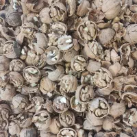 محصولات خانگی بدون مواد شیمیایی|خوردنی و آشامیدنی|شیراز, دلجو|دیوار