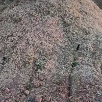 کاه لوبیا|لوازم جانبی حیوانات|قیدار, |دیوار