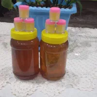 عسل ۱۰۰٪طبیعی ارگانیک|خوردنی و آشامیدنی|بیرجند, |دیوار