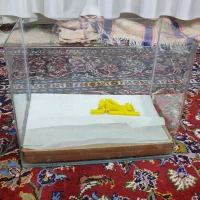 اکواریوم . ماهی . شیشه