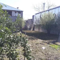 ۲۹۰ متر باغ (قابل ساخت) دارای ویو بی نظیر|فروش زمین و ملک کلنگی|شیرگاه, |دیوار