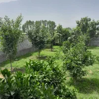 310مترباغ-سندتک-برگ-انشعابات-تا-پلاک-کناری-بافت