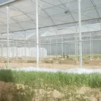 اجاره گلخانه