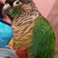 مژدگانی برای یابنده