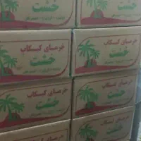 خرما کبکاب دشتستان|خوردنی و آشامیدنی|تهران, شوش (باغ آذری)|دیوار