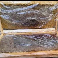 عسل طبیعی (ییلاقی)