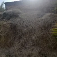 خوشکار فروشی