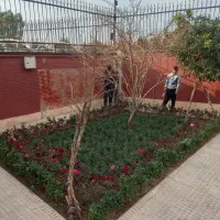 خدمات باغبانی ودرخت کاری کودهی هرسکاری تمام تهران