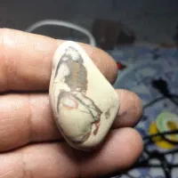 سنگ طبیعی بنظر میرسه عقاب باشه
