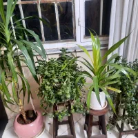 گاراژ برای اجاره