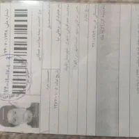گمشده