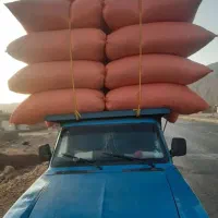 فروش کاه گندم