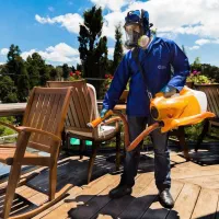 سمپاشی/موریانه زدایی/سم پاشی ساس سوسک/کل خوزستان