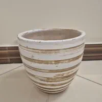 گلدون|گل و گیاه طبیعی|تهران, والفجر (افسریه)|دیوار