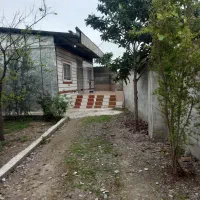 اجاره ویلا در حاشیه جنگل