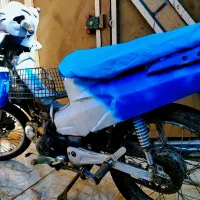 موتور بی کلاچ عالی