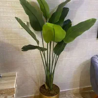 گل مصنوعی شیک با گلدان طلایی