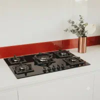 تنوع گاز رو میزی و هود تو کار