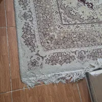 فرش ماشینی ۶ متری|فرش|فردیس, فردیس|دیوار