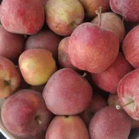 آدرس شهر سهرورد کوچی شهیدرحانی