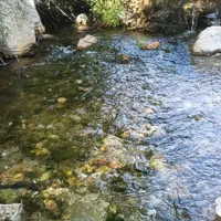 خانه باغ ویلا ، سوییت کنار چشمه تمیز ،زیباو خنک