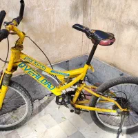 ۲عدد دوچرخه سایز ۲۰|دوچرخه، اسکیت، اسکوتر|فردیس, فردیس|دیوار