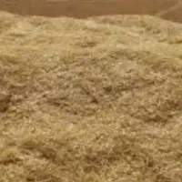 سامان (گندم) کیلویی ۵ هزار