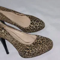 کفش مجلسی|کیف، کفش، کمربند|اهواز, زندوکیلی|دیوار