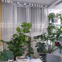 معاوضه ملک فولادشهر و مسکن