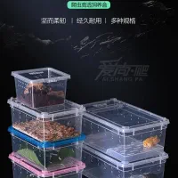 انواع خزندگان و لوازم جانبی