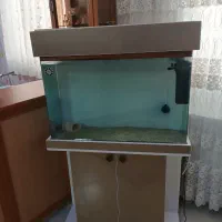 آکواریم شیشه خم 80 سانتی