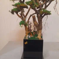 درختچه|گل و گیاه طبیعی|تهران, جی|دیوار