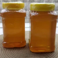 فروش عمده عسل طبیعی لرستان تضمینی|خوردنی و آشامیدنی|تهران, زنجان جنوبی|دیوار