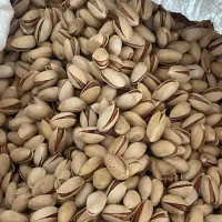 پسته|خوردنی و آشامیدنی|مشهد, کارمندان دوم|دیوار