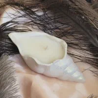 گلدان و اکسسوری منزل|مجسمه، تندیس، ماکت|رفسنجان, |دیوار