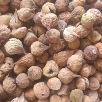 انجیر ومویز سیاه|خوردنی و آشامیدنی|شیراز, شهرک مدرس|دیوار