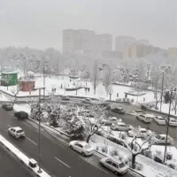 بر اصلی پارک پلیس ۴ واحد ۱۰۰ متری|اجارهٔ دفتر کار، اتاق اداری، مطب|تهران, تهرانپارس غربی|دیوار